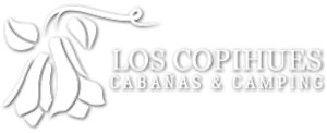 Camping y Cabañas Los Copihues
